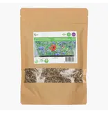 Buzzy Inheems Bloemenmengsel 250g 125m2 - Gemengde Bloemzaden Kopen?