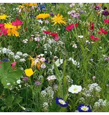 GS Bloemenmengsel - Plukbloemen 1 Kg. -  500 m2 - Snijbloemen - Eenjarige Bloemen Kopen?