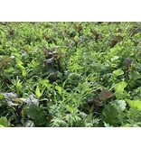 TerraLife VitaMaxx TR 25 kg - Groenbemesters Kopen? - Veehouderijen - Graszaadselect.nl