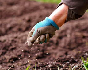 Fertilisers