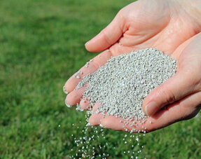 Lawn Fertiliser