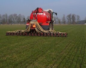 Professional Fertilisation