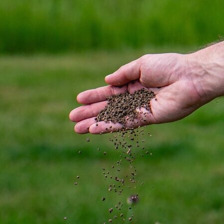 EcoStyle Gazonmest - Najaar - 2 kg - 50m2 - Graszaadselect.nl