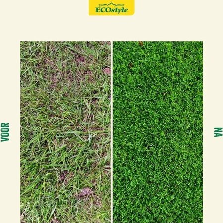 EcoStyle Gazonmest - AZ+ 2 kg - 30 m2 - Graszaadselect.nl