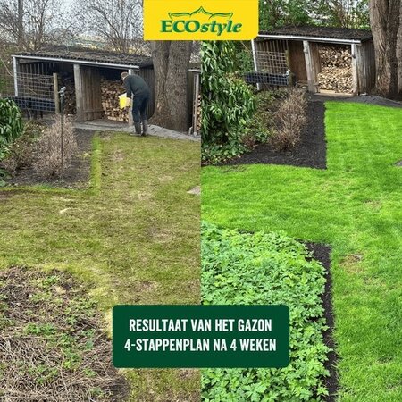 EcoStyle Gazonmest - AZ+ 2 kg - 30 m2 - Graszaadselect.nl