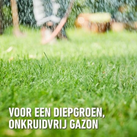 Compo Rasendünger & Unkrautvernichter 1,5 kg - 2 In 1 - Graszaadselect.com