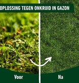 Compo Lawn Fertiliser & Weed Killer 1.5 kg - 2 In 1 - Graszaadselect.com
