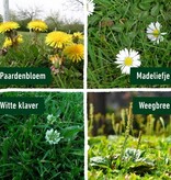 Compo Gazonmeststof & Onkruidverdelger 7,5 kg 250m2 - 2 In 1 - Graszaadselect.nl