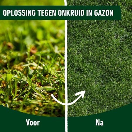 Compo Gazonmeststof & Onkruidverdelger 7,5 kg 250m2 - 2 In 1 - Graszaadselect.nl
