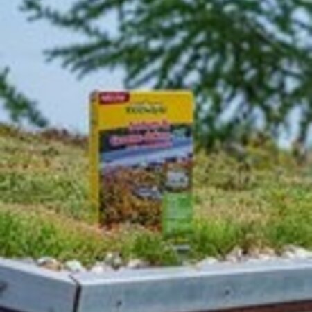 EcoStyle Sedum & Groene Daken - 1,6 kg 20 m2 - Voor Een Onkruidvrij Dak - Graszaadselect.nl