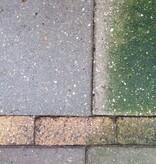 ATM Biomix 1 lt - Bekämpft grüne Ablagerungen auf jeder Oberfläche - Graszaadselect.com