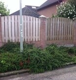 ATM Biomix 1 lt - Fight Green Deposits On Every Surface - Graszaadselect.com