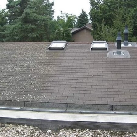 ATM Biomix 1 lt - Bestrijd Groene Aanslag Op Iedere Oppervlak - Graszaadselect.nl