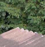 ATM Biomix 5 lt. - Against Green Deposits on All Materials - Graszaadselect.com