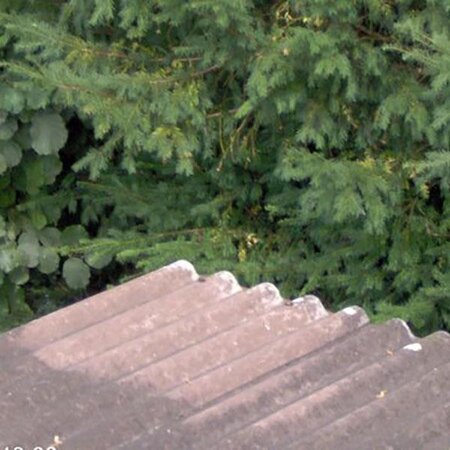 ATM Biomix 5 lt. - Gegen grüne Ablagerungen auf allen Materialien - Graszaadselect.com