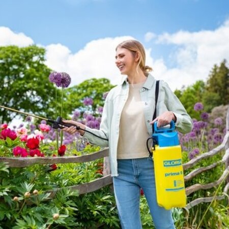 Gloria Drucksprühgerät Prima 5 lt. - Gloria Drucksprüher Günstig Online Kaufen - Graszaadselect.com