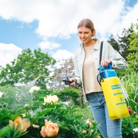 Gloria Drukspuit Prima 5 lt. - Gloria Drukspuit Online Voordelig Kopen - Graszaadselect.nl