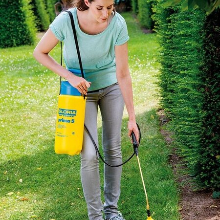 Gloria Drucksprühgerät Prima 5 lt. - Gloria Drucksprüher Günstig Online Kaufen - Graszaadselect.com