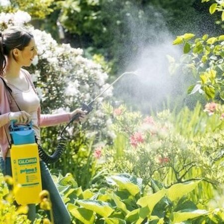 Gloria Prima 5 Comfort 5 lt - Met Spiraalslang en Drukventiel - Graszaadselect.nl