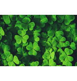 DLF Microclover 5 kg - Always A Green Turf