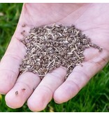 EcoStyle ECOstyle GazonMax - All-in-one Powerpack - Bestel nu online! Graszaadselect.nl