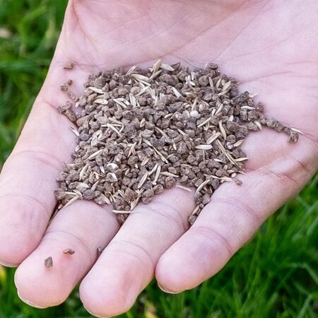 EcoStyle ECOstyle GazonMax – All-in-one Powerpack – Jetzt online bestellen! Graszaadselect.nl