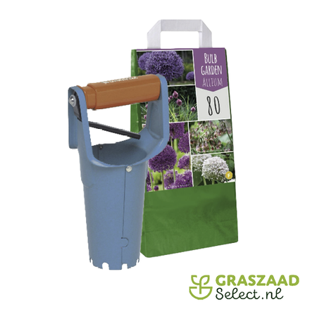 Jub Holland 125 Blumenzwiebeln Allium  mit Zwiebelpflanzer – Garten Geschenk für jeden Anlass