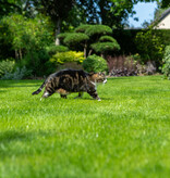 Masterline DLF Play & Sport - 4.5 kg - 180m² - For Strong Growth and Recovery - Graszaadselect.nl