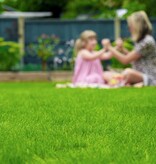 Masterline DLF Play & Sport - 4.5 kg - 180m² - For Strong Growth and Recovery - Graszaadselect.nl