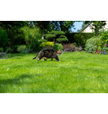 Masterline DLF Play & Sport - 7.5 kg - 300m² - For Strong Growth and Excellent Recovery!