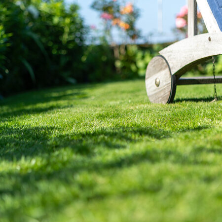 Masterline DLF Trockenheit & Sonne – 1 kg – 40 m² – Für einen robusten und starken Rasen! Graszaadselect.nl