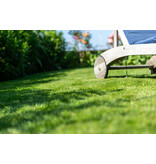 Masterline DLF Trockenheit & Sonne – 5 kg – 200 m² – Die professionelle Wahl! Graszaadselect.de