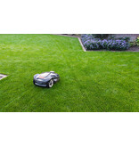 Masterline DLF Droogte & Zon - 5 kg - 200m² - De Professionele Keuze! Graszaadselect.nl