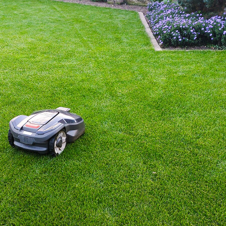 Masterline DLF Trockenheit & Sonne – 5 kg – 200 m² – Die professionelle Wahl! Graszaadselect.de