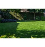 Masterline DLF Shade & Ornamental - 4.5 kg - 180m² - Professional Grass Seed Mixture for Shady Areas.