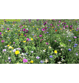 Garden Select Akkerrand Bloemrijk 1, Eenjarig - 2 kg  voor 1.250 m2 - Gemengde Bloemzaden - Garden Select