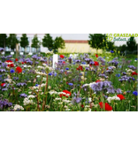 Garden Select  Field Edge Flowery 2 - Mehrjährige Mischblumensamen - Graszaadselect.nl