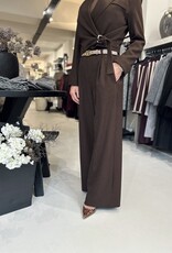 Rinascimento Sabien Hose