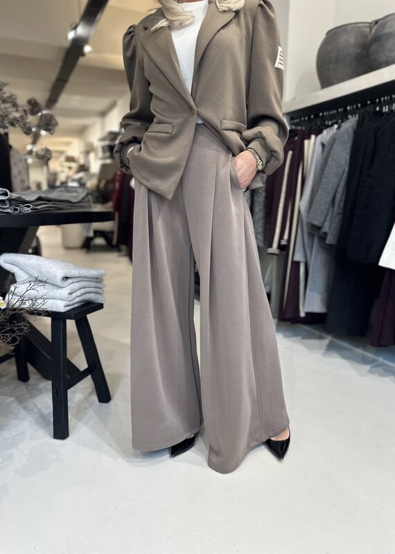Pantalon Pia taupe