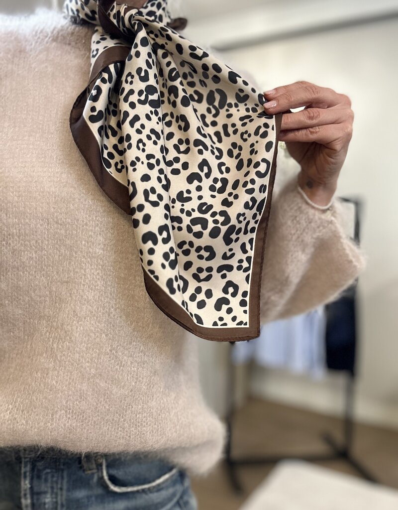 Trui Mohair Elegance Beige