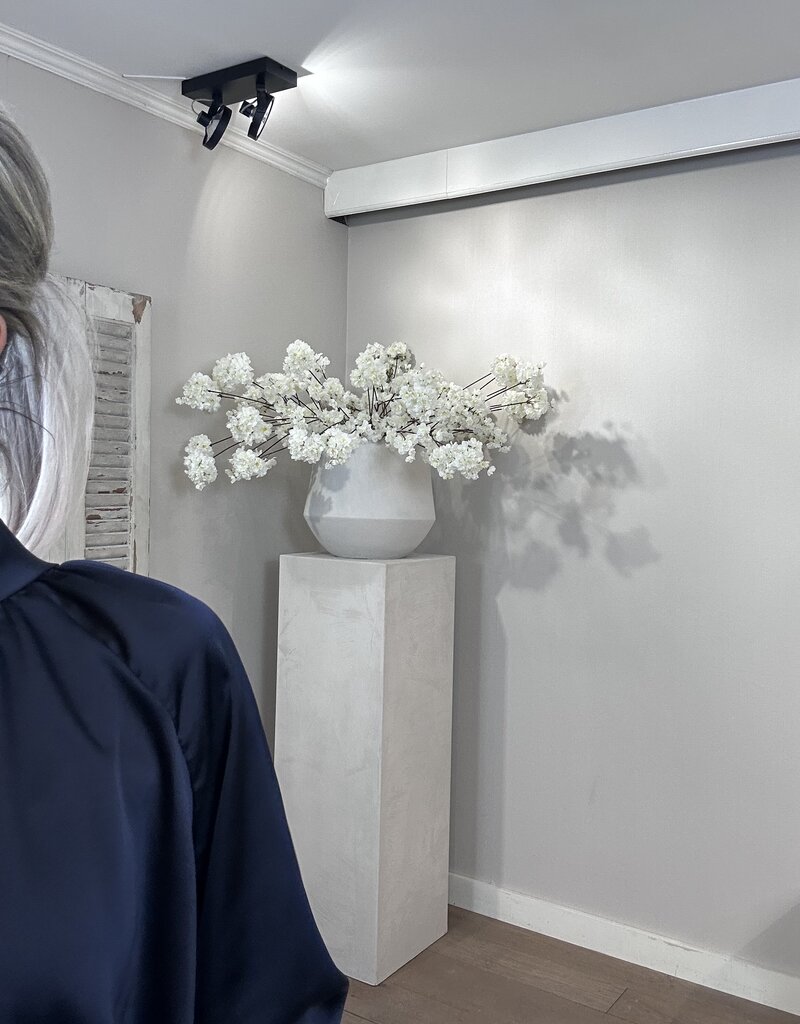 Blouse / Top Lieve Blue