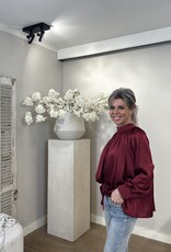 Blouse / Top Lieve bordeaux