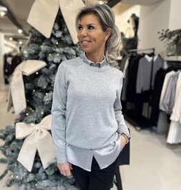 Trui Holly Silver
