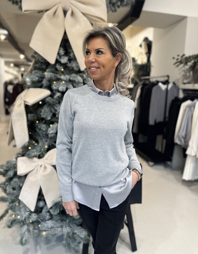 Trui Holly Silver