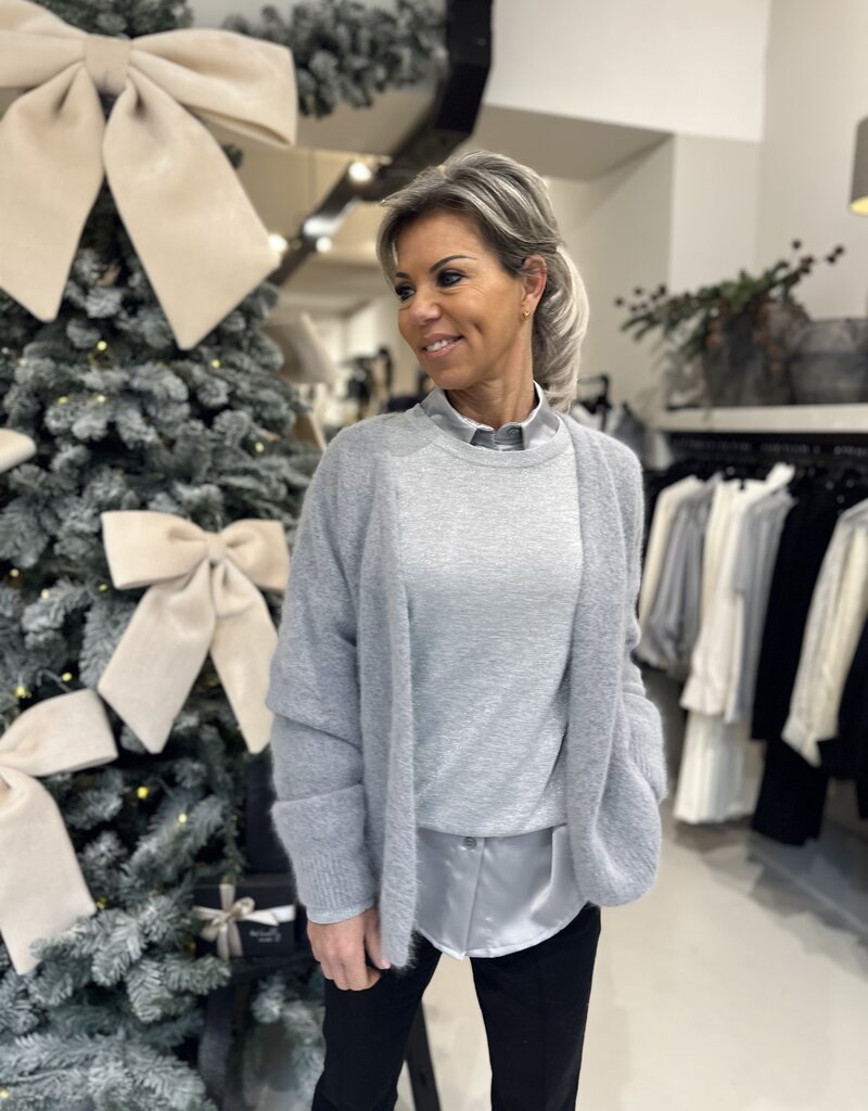 Pull Holly Argent