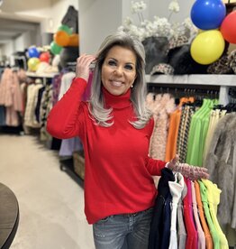 Carnival Turtleneck 11 Colors