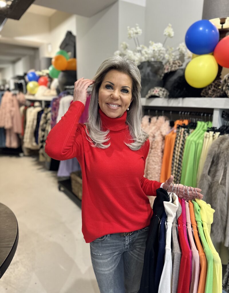 Karnevals-Rollkragenpullover in 11 Farben