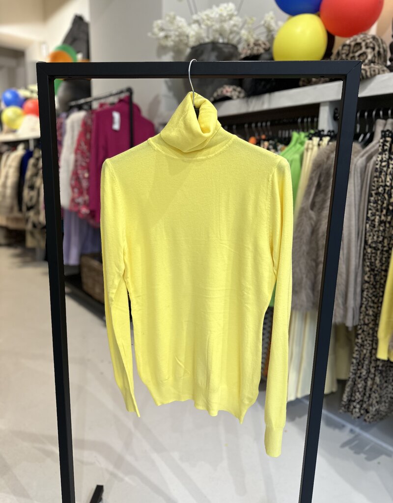 Carnival Turtleneck 11 Colors