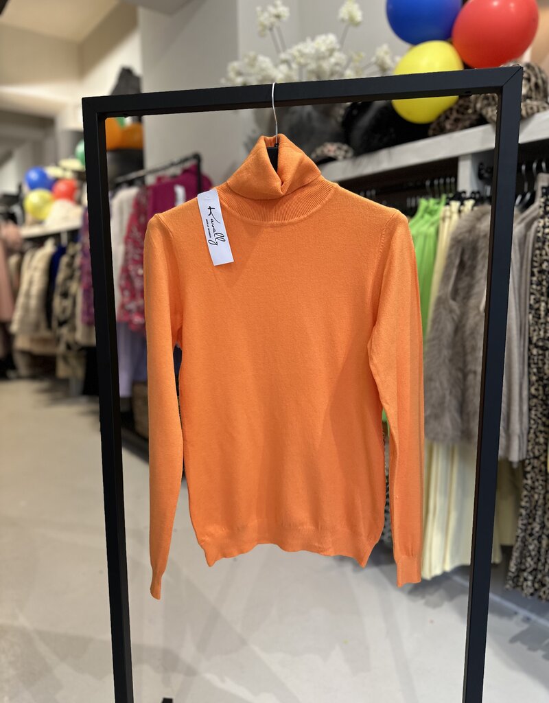 Karnevals-Rollkragenpullover in 11 Farben