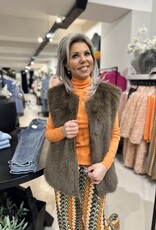 Carnavals Bodywarmer bruinbeer